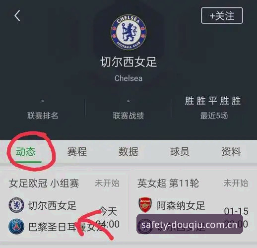 斗球下载地址哪个好 斗球下载地址哪个好?多维度全面解析正版下载渠道选择策略
